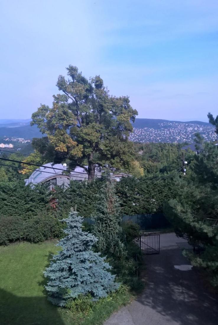 Romantic Two Bedroom Apartments In The Hills Of Budapest With Private Parking Exterior foto